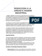 Seguridad e Higiene Industrial Manual