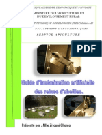 Guide D'insémination Artificielle Des Reines D'abeilles Itelv - Algérie