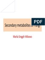 Secondary Metabolites of Fungi PDF