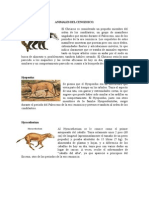 Animales Del Cenozoico