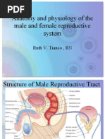 Anatomy and Physiology of The Female Reproductive System