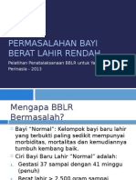 Permasalahan Bayi Berat Lahir Rendah