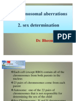 Chromosome Abnormalities and Sex Determination