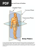 Planes of Movement and Terms of Position