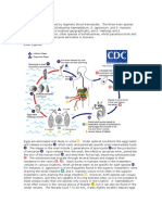 Causal Agents:: Intercalatum. in Addition, Other Species of Schistosomes, Which Parasitize Birds and