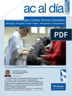 Dermatitis PDF