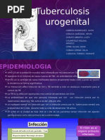 TBC Urogenital