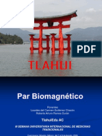 Par Biomagnetico Tlahui