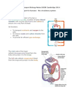 07 Human Transport Biology Notes IGCSE 2014 PDF