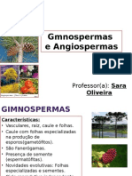 Gmnospermas e Angiospermas