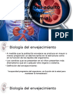 Nefro - Anatomía Renal Del Adulto Mayor