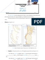 Temperatura Ficha de Trabalho