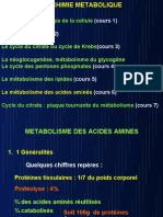 Métabolisme Des Acide Aminés