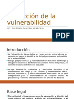 Reducción de La Vulnerabilidad