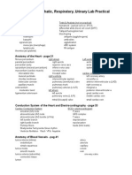 Cardio, Lymphatic, Respiratory, Urinary Lab Practical: Blood - Page 1