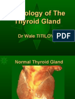 Pathology of Thyroid