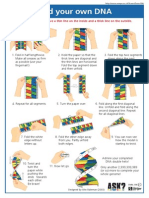 Fold Your Own DNA: Designed by Alex Bateman (2003)