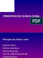 Principios de Clinica Ovina