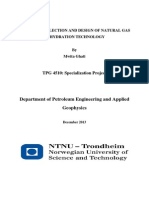 A STUDY ON SELECTION AND DESIGN OF NATURAL GAS GhatiProsjekt - AnaClara PDF