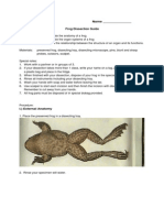 Frog Dissection Guide