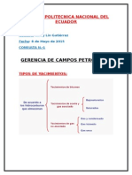 Tipos de Yacimiento