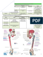 2.01 Gross Anatomy Trans - AM Thigh, AL Leg and Dorsum of Foot Tables of Muscle Groups