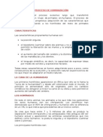 Modulo Del Proceso de Hominizacion