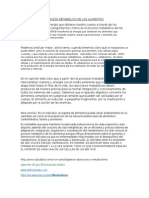 Proceso Metabólico de Los Alimentos