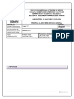 Informe 5 - Sistema Somato-Sensorial