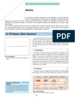 A. Primary Skin Lesions