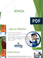 SENASA 