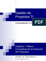 Marco Conceptual de La Dirección de Proyectos TI