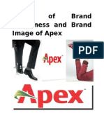 Brand Management of Apex Shoe