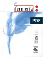 Enfermeria Desarrollo Teorico e Investigativo