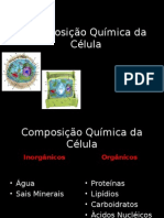 Composição Química Da Célula