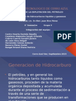 Generacion de Hidrocarburos Liquidos y Gaseosos