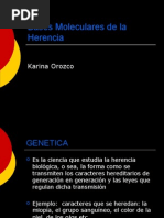 Bases Moleculares de La Herencia