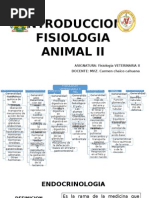 Introduccion Fisiologia Animal II