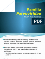 Familia Parvoviridae