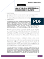 PRÁCTICA 6. Mecanismos de Agresión y Defensa II - 2015 - II