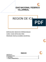 Monografia de Vision Region de Ica