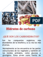 Carbohidratos y Glicobiología