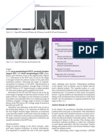 Orthopedic Assessment Sample PDF