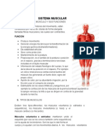 Taller de Musculos