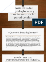 Biosíntesis Del Peptidoglucano y Crecimiento de La Pared