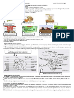 Producción y Monocultivo de Soja en América Latina y en Argentina.