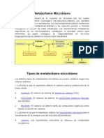 Metabolismo Microbiano