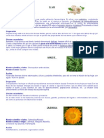 20 Plantas Medicinales