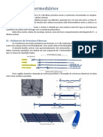 5 Filamentos Intermediários
