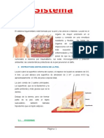 Sistema Tegumentario